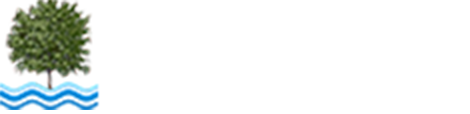 Οι Τζιτζιφιές